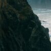 Бюджетные ассигнования как источник финансирования: виды и особенности