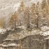 Общий семейный бюджет: секреты планирования и управления финансами